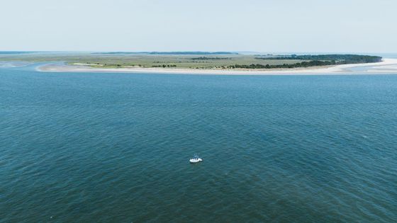 Aerial shot of a boat near the shoreline of Hilton Head Island, South Carolina.