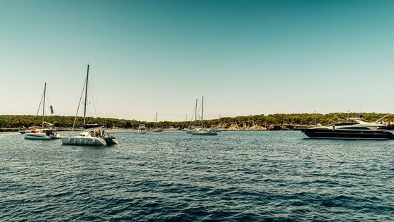 Picturesque scene of sailboats and yachts on Ibiza's clear waters under a bright summer sky.