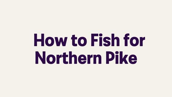 How to Fish for Northern Pike