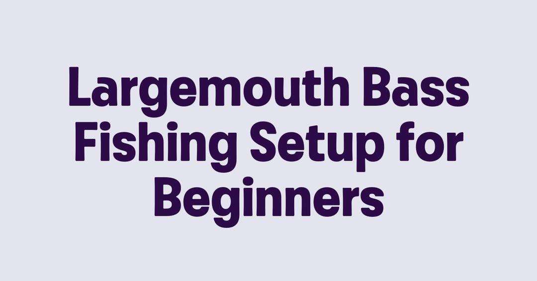 Largemouth Bass Fishing Setup for Beginners