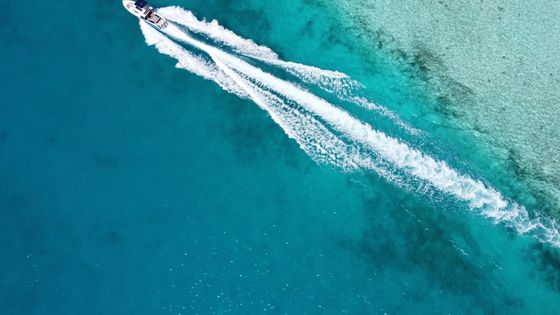 Maldives Header