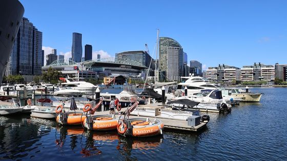 View of yachts in Melbourne Docklands with a modern city skyline on a sunny day.
