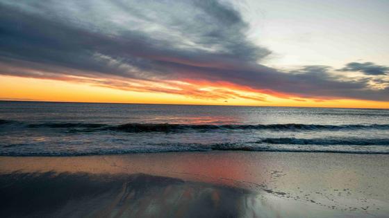 Screenshot 2025-11-14 at 12.12.28 PM