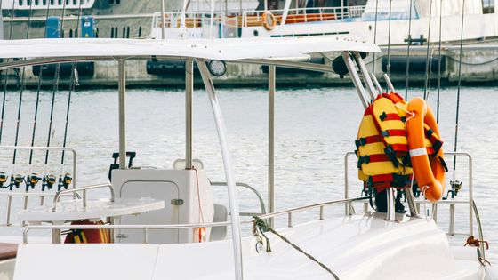pexels-igor-starkov-233202-785526