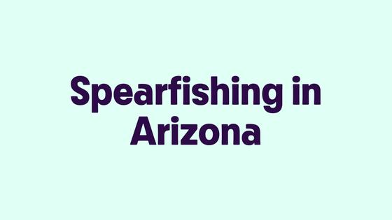 Spearfishing in Arizona