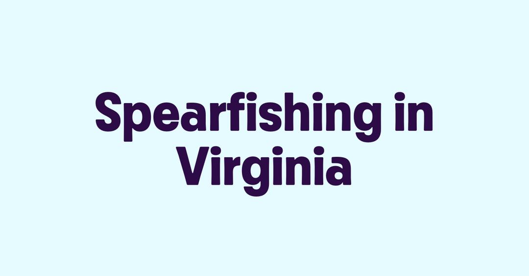Spearfishing in Virginia