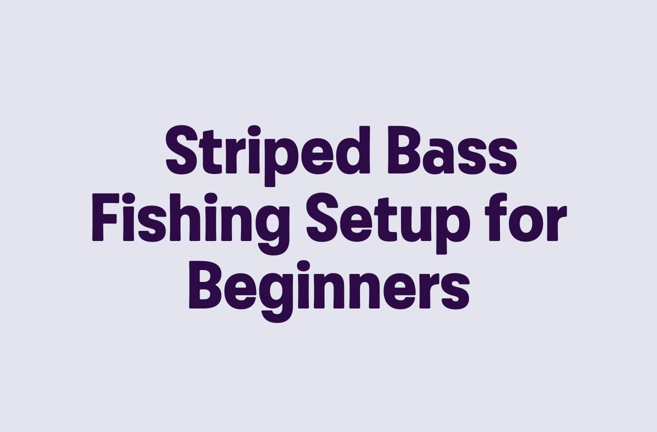 Striped Bass Fishing Setup for Beginners
