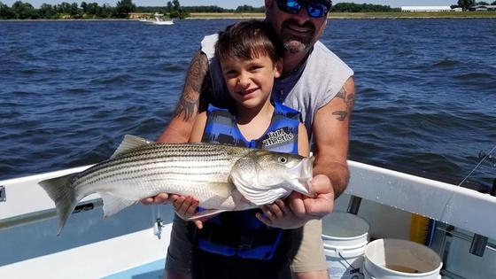 Striped Bass Header