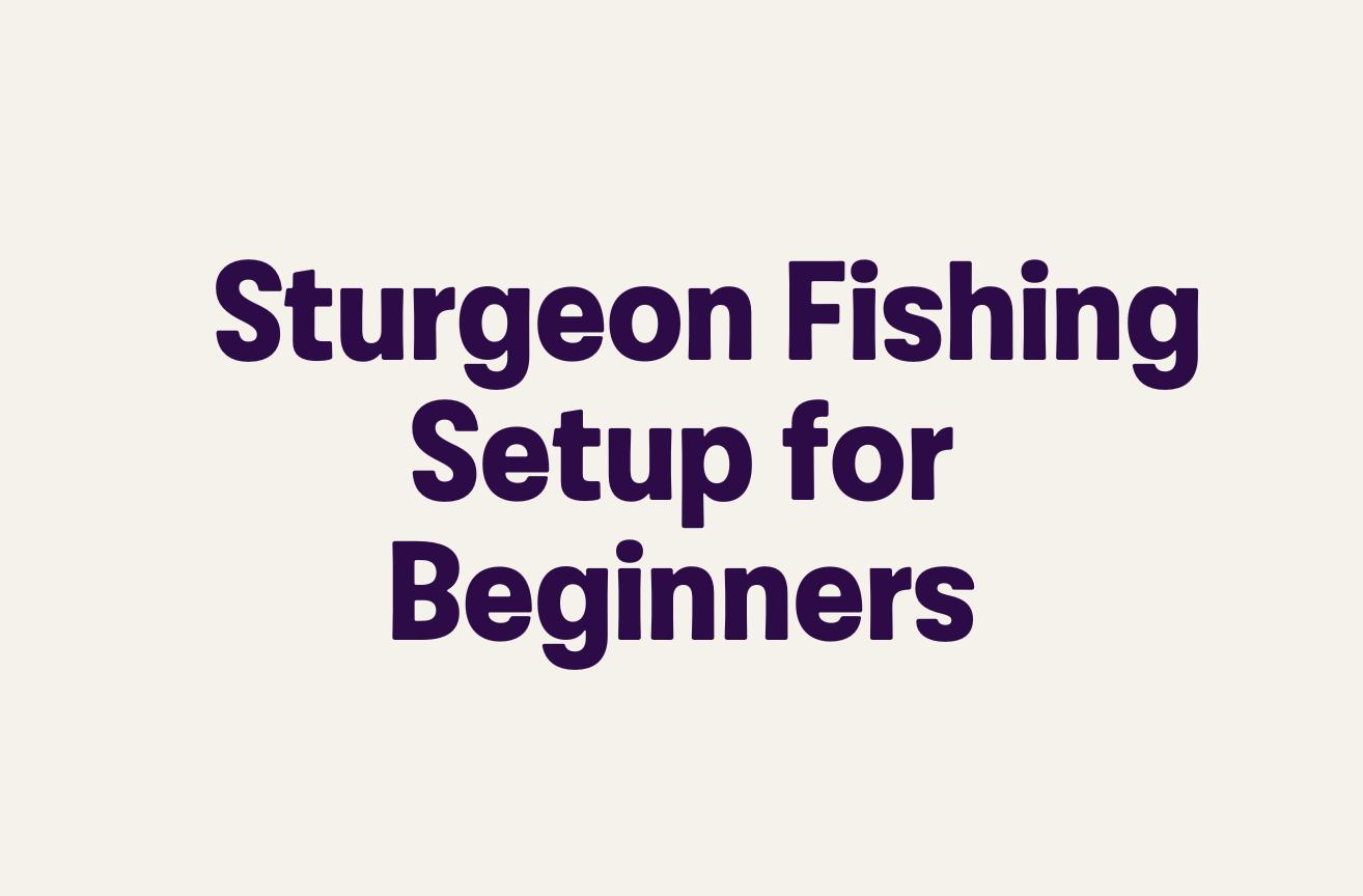 Sturgeon Fishing Setup for Beginners