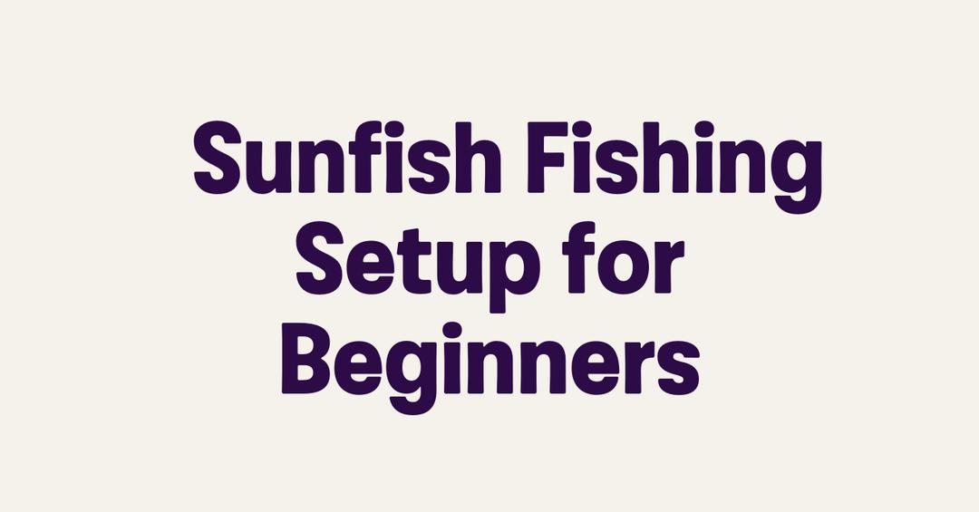 Best Sunfish Rig Sunfish Fishing Setup for Beginners