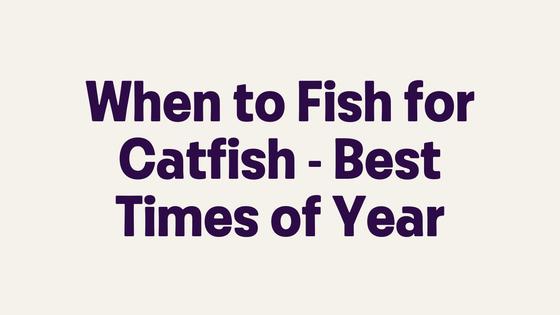 Best Time Of Year To Fish For Catfish