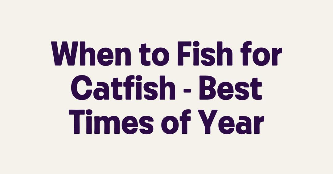 When to Fish for Catfish Best Times of Year