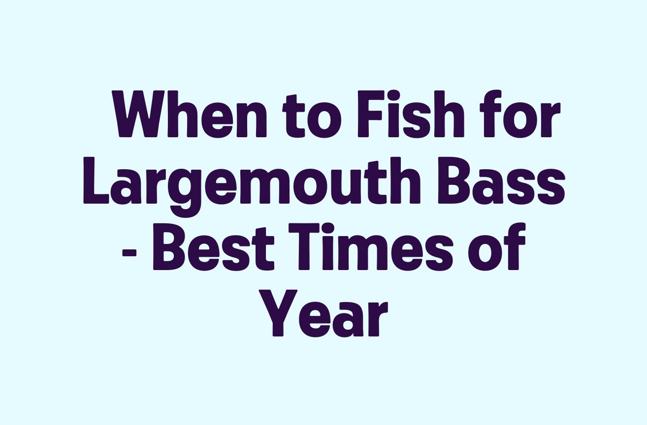 When to Fish for Largemouth Bass Best Times of Year