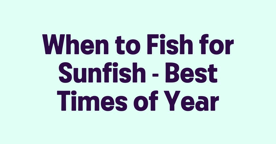 When to Fish for Sunfish Best Times of Year