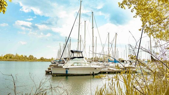 Tranquil harbor scene with sailboats and yachts docked in Toronto.