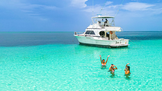 Yacht Header 2